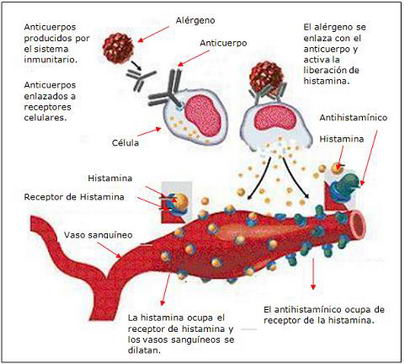 Liberación de histamina 
