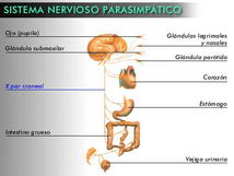 abp2-quimica-biologia.blogspot.com