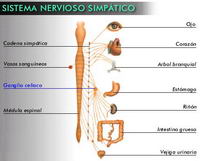 abp2-quimica-biologia.blogspot.com