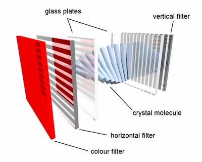 Estructura interna pantalla LCD