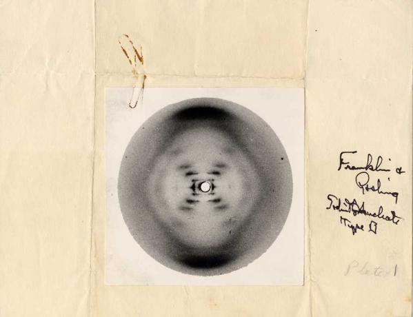 La fotografía número 51 de Rosalind Franklin