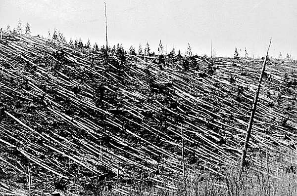 Tunguska, Rusia (1908)