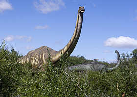Apatosaurio (Brontosaurio)
