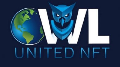 Mejores talentos mundiales en diseño 3D promete destacar OwlUnited NFT