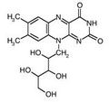 Riboflavina