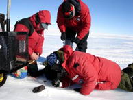 Encontrando meteoritos directamente sobre el hielo de la Antártida (Foto: B. A. Cohen, Univ. of New Mexico)