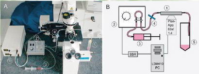 Microscopio 3-D-SIM