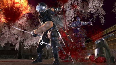 Ninja Gaiden 2