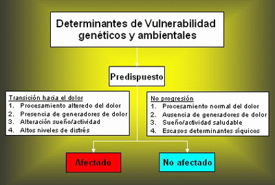 Fisiopatología del Síndrome de Fibromialgia (Gráfico: medwave.cl)