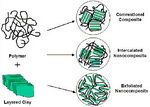 Polymer-layered nanocomposites (Denault and Labrecque, 2004)